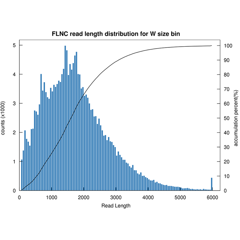 radio rna en ligne